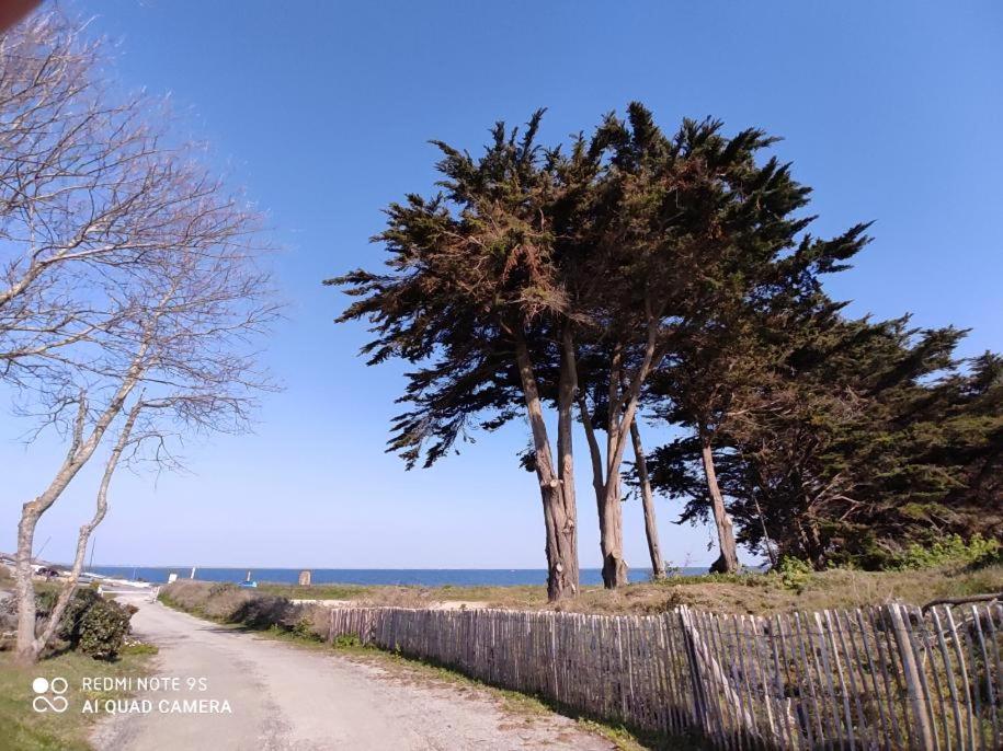 Logement En Rdc Port Haliguen Apartment Quiberon Exterior foto